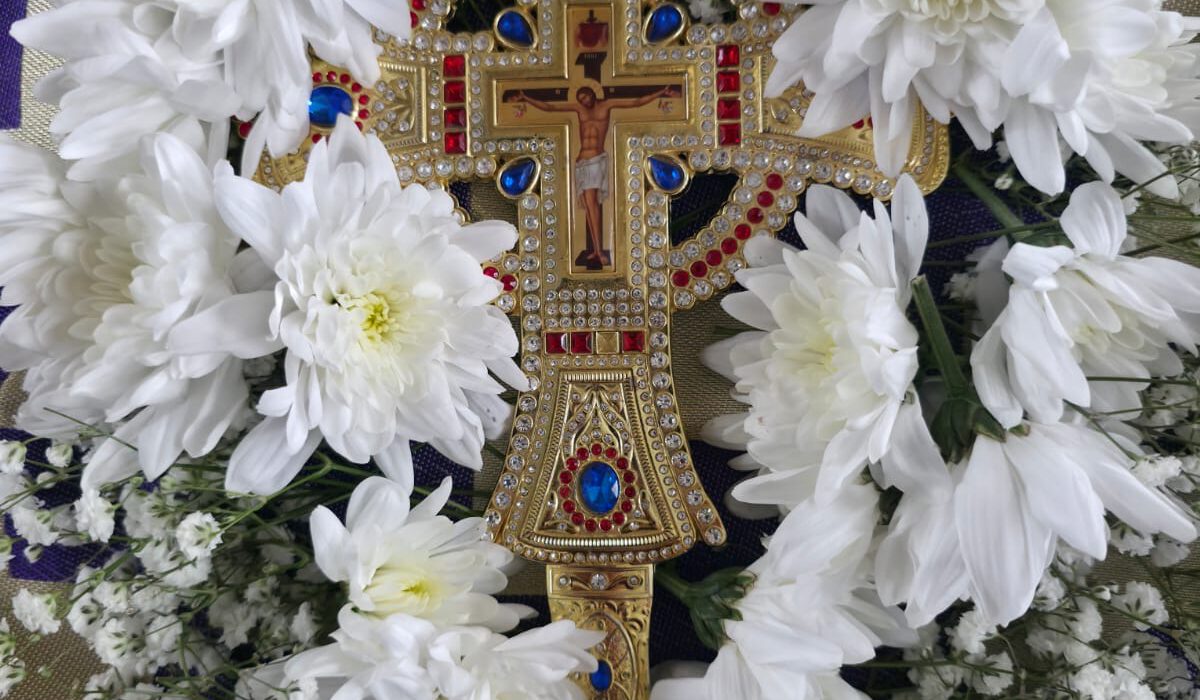 516e2593-c32d-493f-b75d-8ecc044d776c