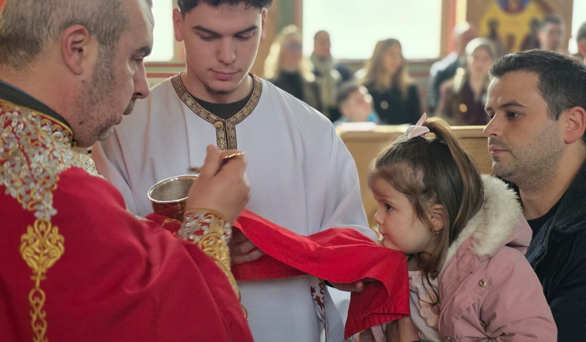 74d7ec13-b679-4436-bd6c-c589879c8be0