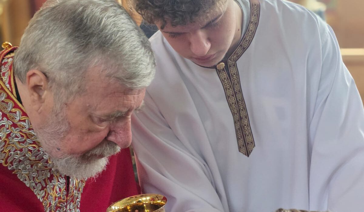 8cb728c2-28bd-45f0-acf6-82eee36abe2f