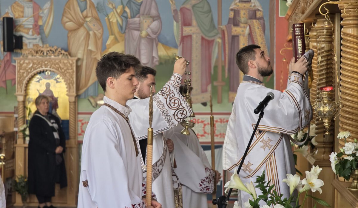 0e4889cb-08de-492e-9d8f-0560178dac02