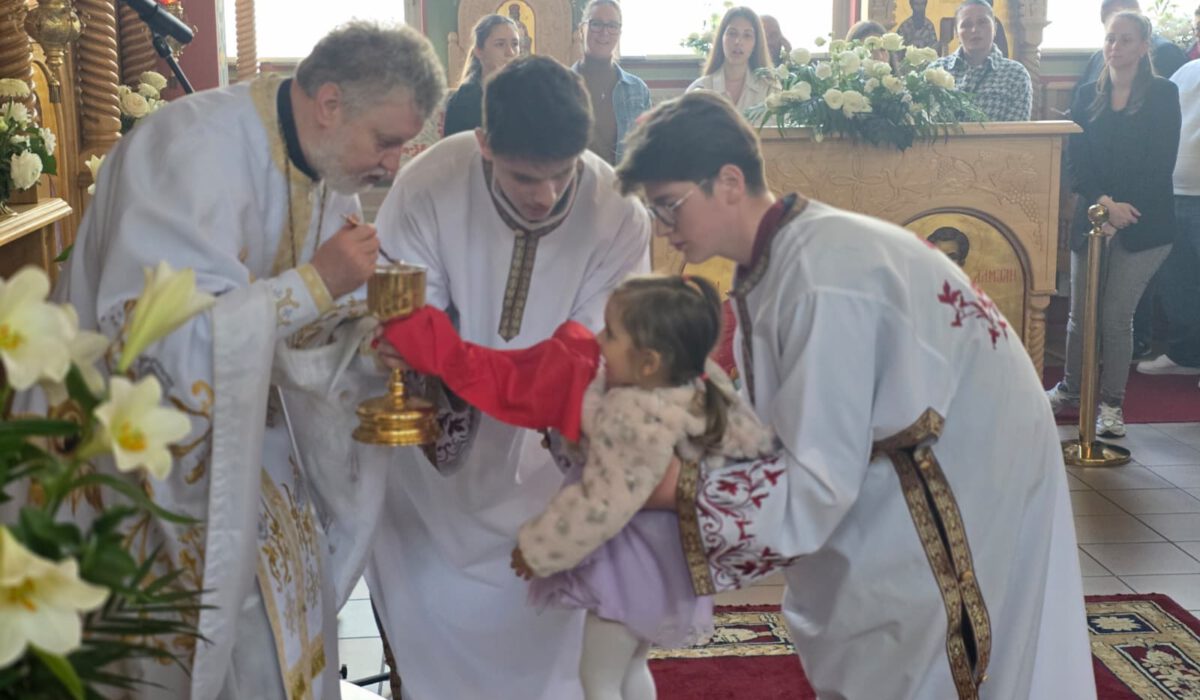 1a8b8e8d-a486-4d87-842e-c47f56c6b872