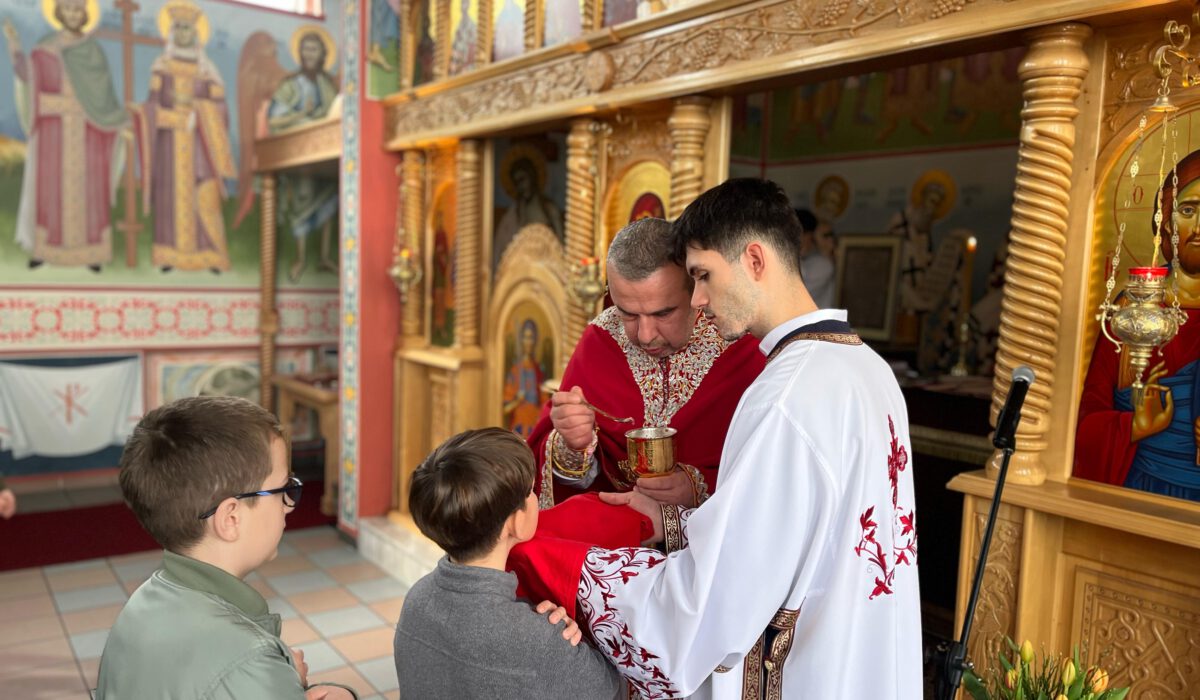 1b704a94-12ce-4889-8648-0546845d348f