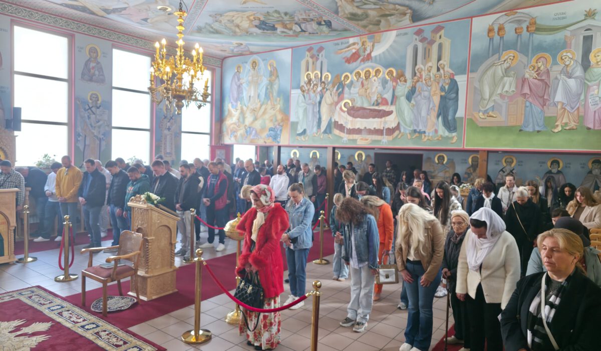 44611589-e0c0-4c77-8f56-9d7ba7b33acc