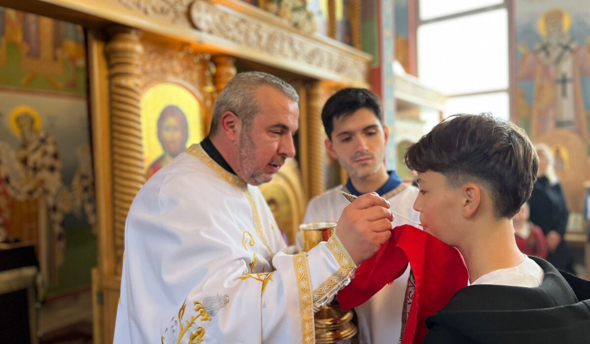 7061c77a-be57-4757-b4fb-a4009fe514eb