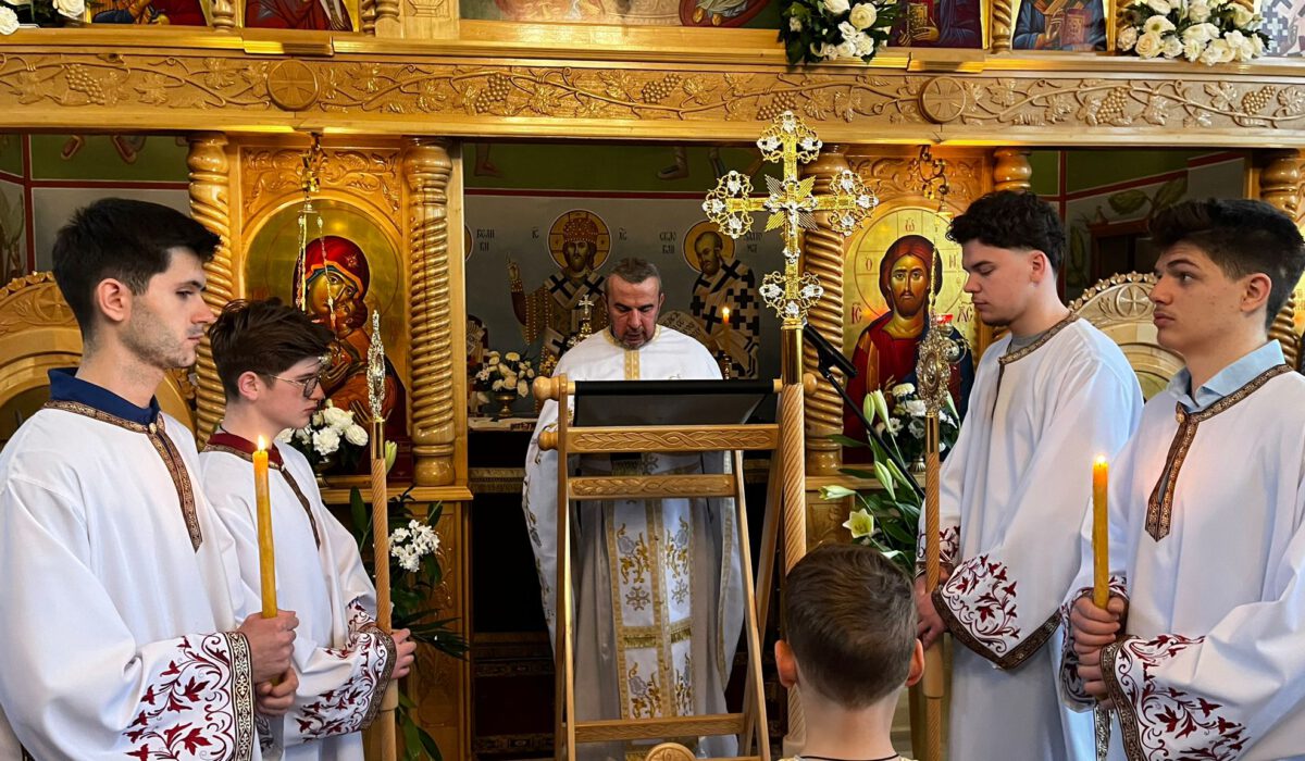 9bf248ad-aaf5-4cc8-a9e5-4105efa7ea1c