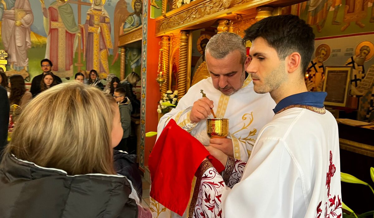 b5305176-038f-4792-8b3a-78d8fafac9b1