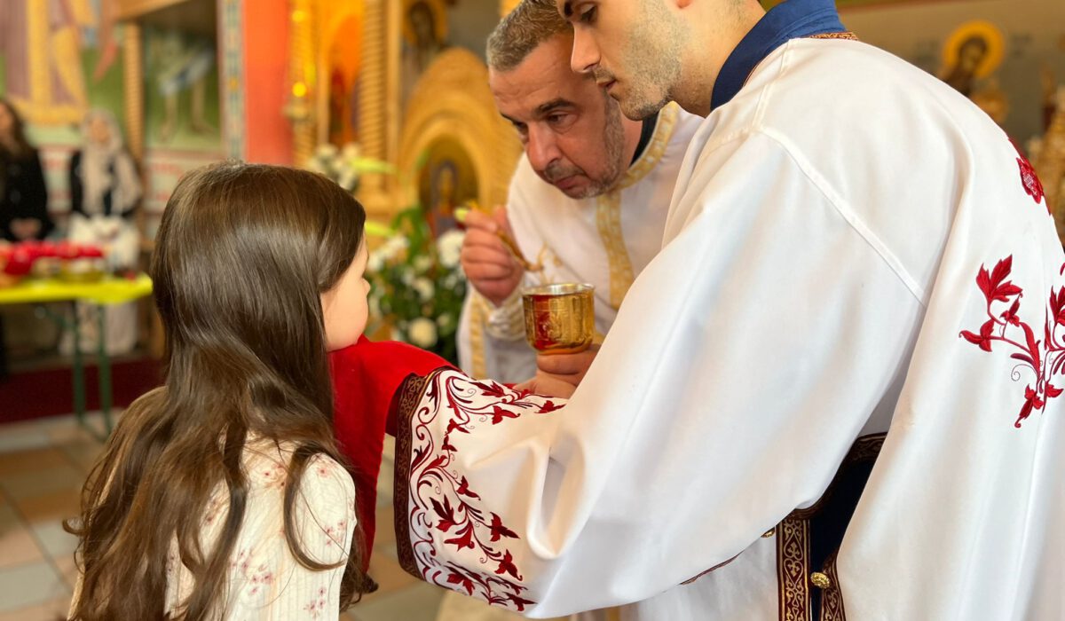 d346db90-94e4-4bd1-9dd7-66320d4c9434