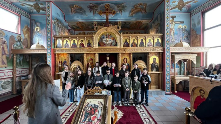 Read more about the article Цвети у Улму